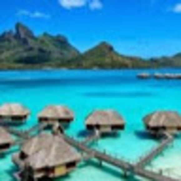 Meet your Posher, Midge - Picture 1 of 1